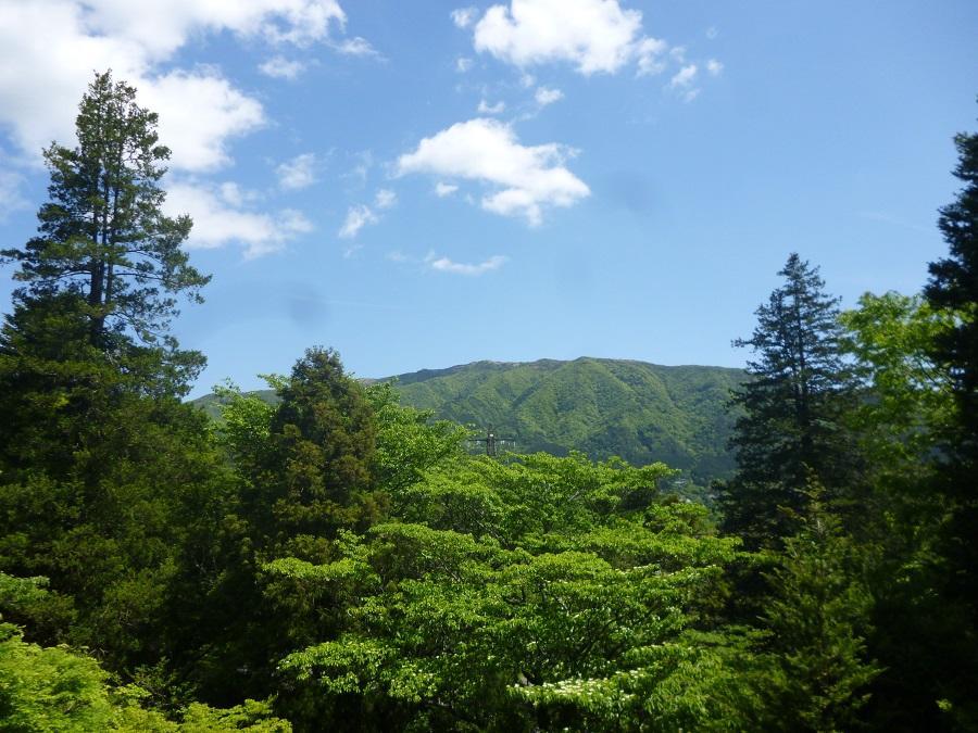 Kaze No Ne Hotel Hakone Bagian luar foto